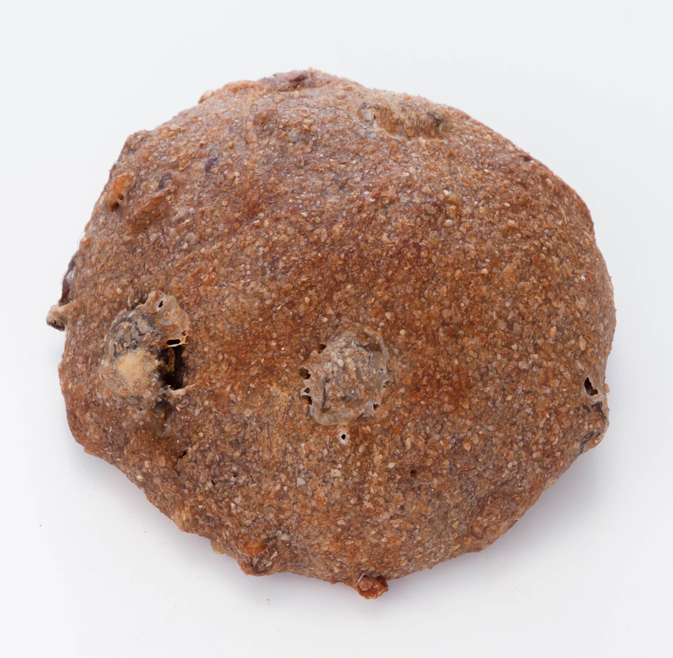 レアノザンプチ