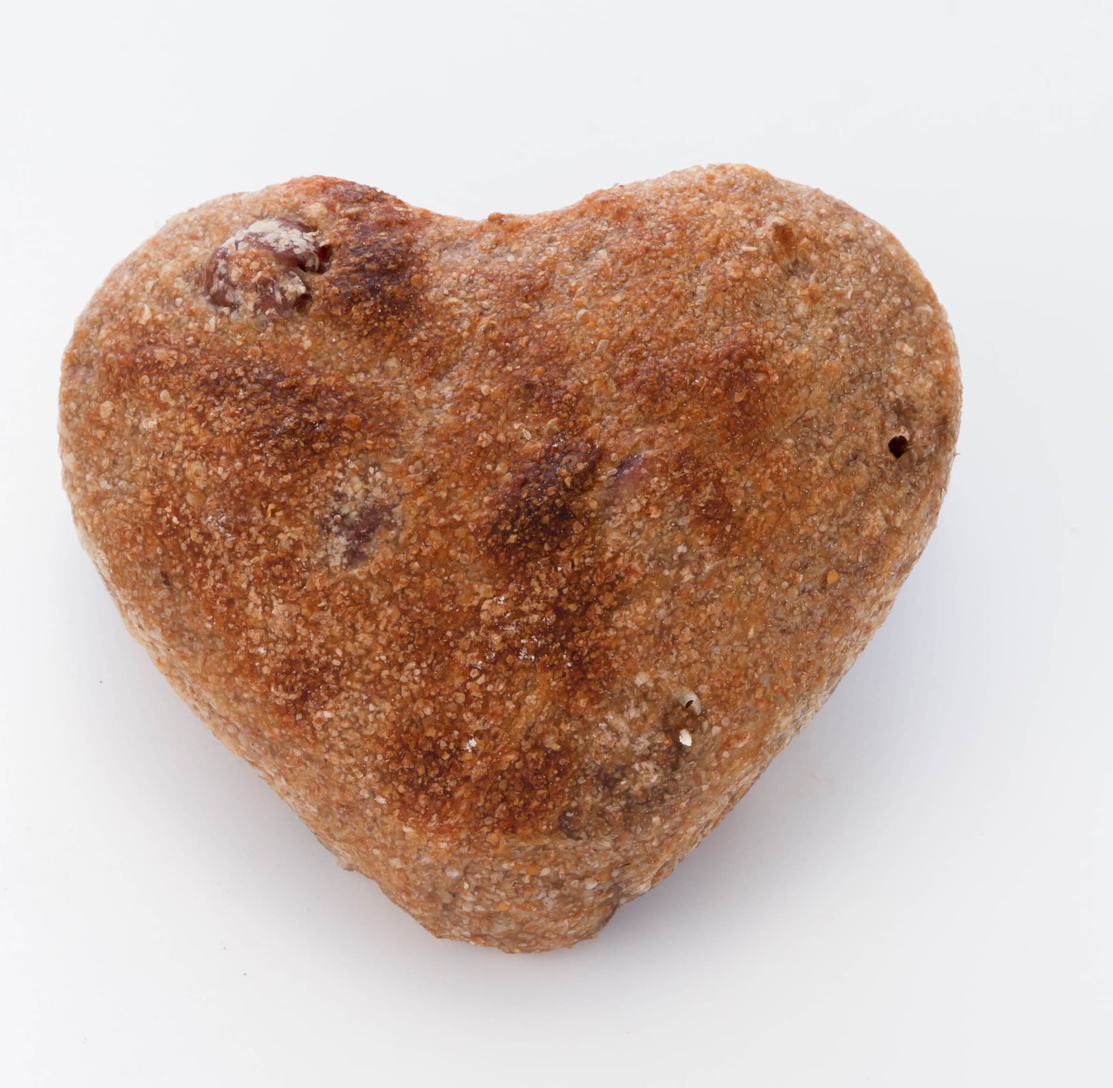 フルーツカンパーニュプチ